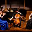 Center Stage Strings ~ with Elizabeth Pitcairn